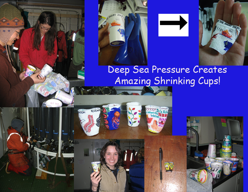 pod-shrinking-cups.jpg