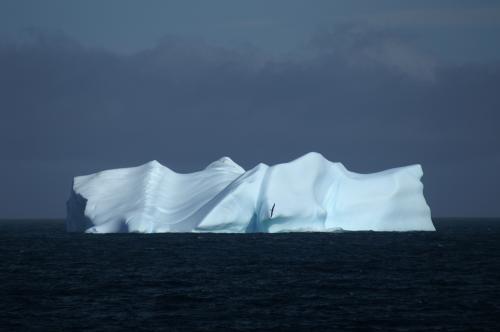 iceberg-with-albatros.JPG