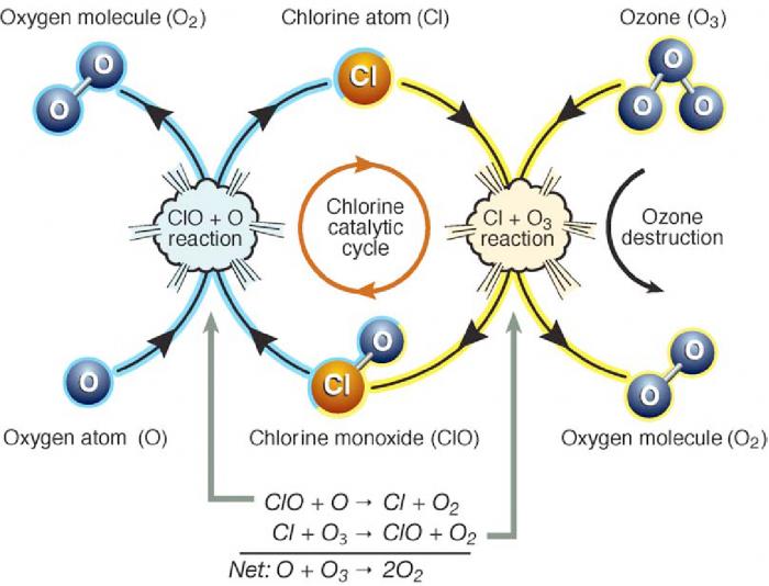 Cfcs Ozone